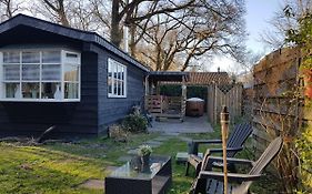 Chalet 2 pers met HOTTUB - Aan de bosrand - IJsselmeer - Gaasterland - Bos