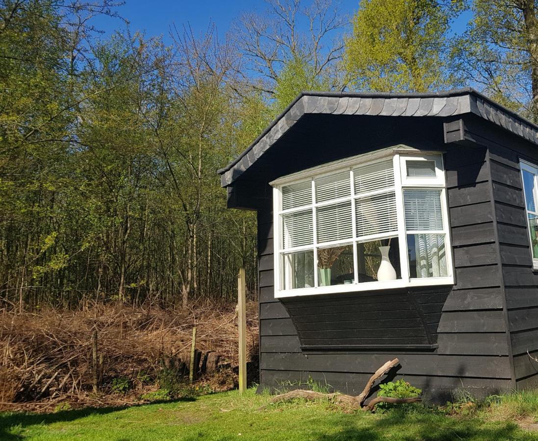 Chalet 2 pers met HOTTUB - Aan de bosrand - IJsselmeer - Gaasterland - Bos Rijs Buitenkant foto